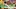 Video Platzhalter Video Platzhalter