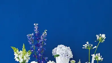 blumen blauweiss - Foto: Bauer Media Group
