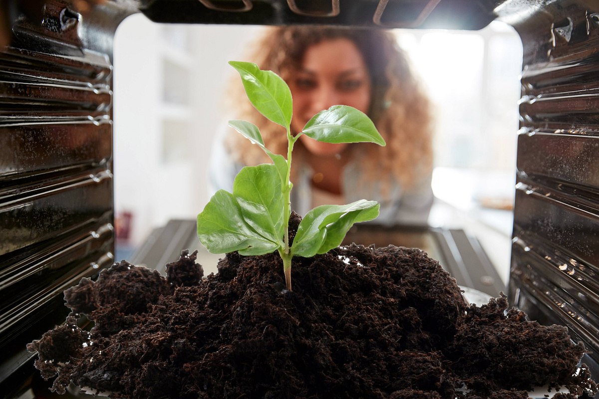 Mega-Geheimtipp: Darum solltest du deine Blumenerde backen!