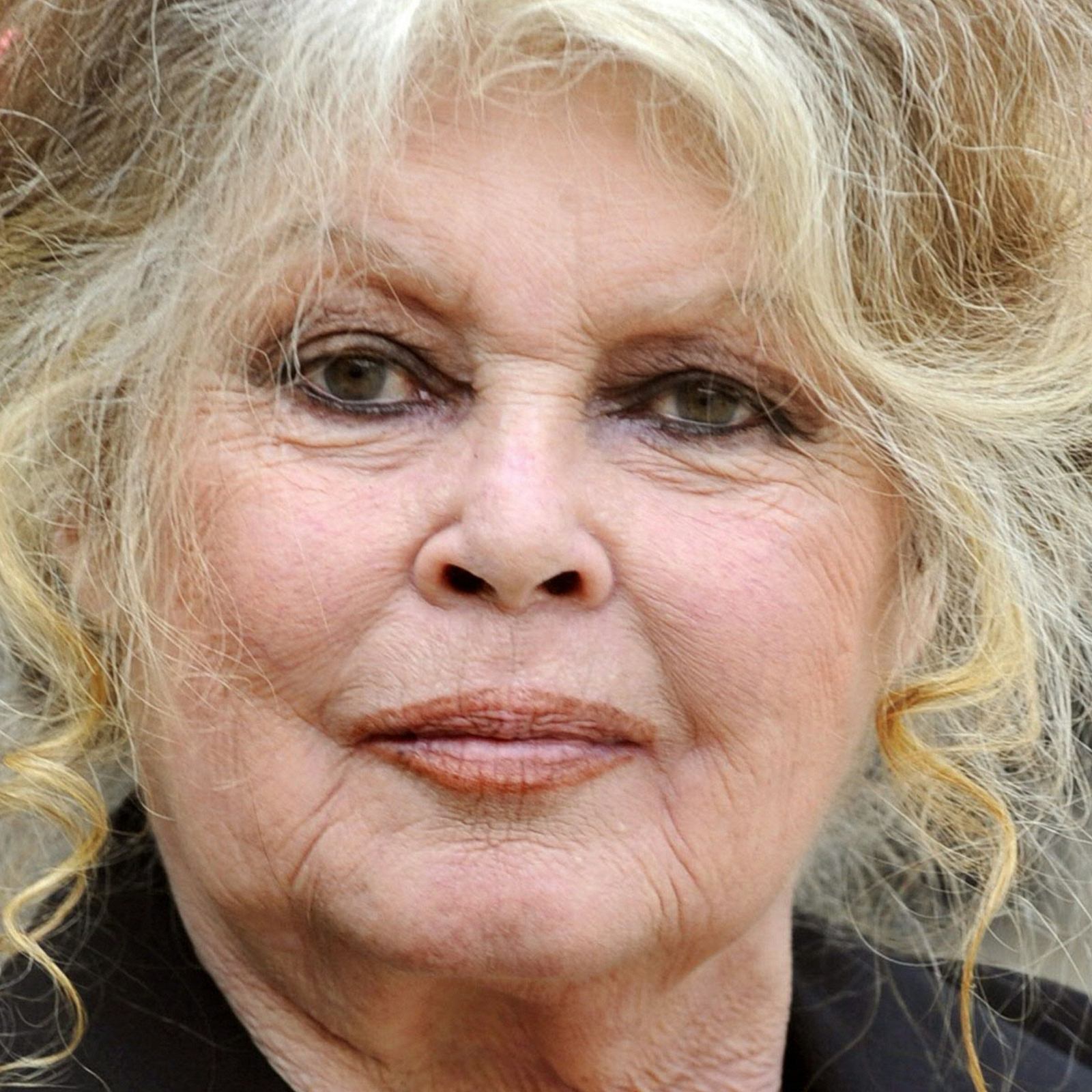 Brigitte Bardot Aktuelle Bilder Hot Sale | emergencydentistry.com