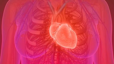 Das Broken-Heart-Syndrom ist eine ernsthafte Erkrankung, die auf Liebeskummer zurückzuführen ist. - Foto: iStock/Lars Neumann