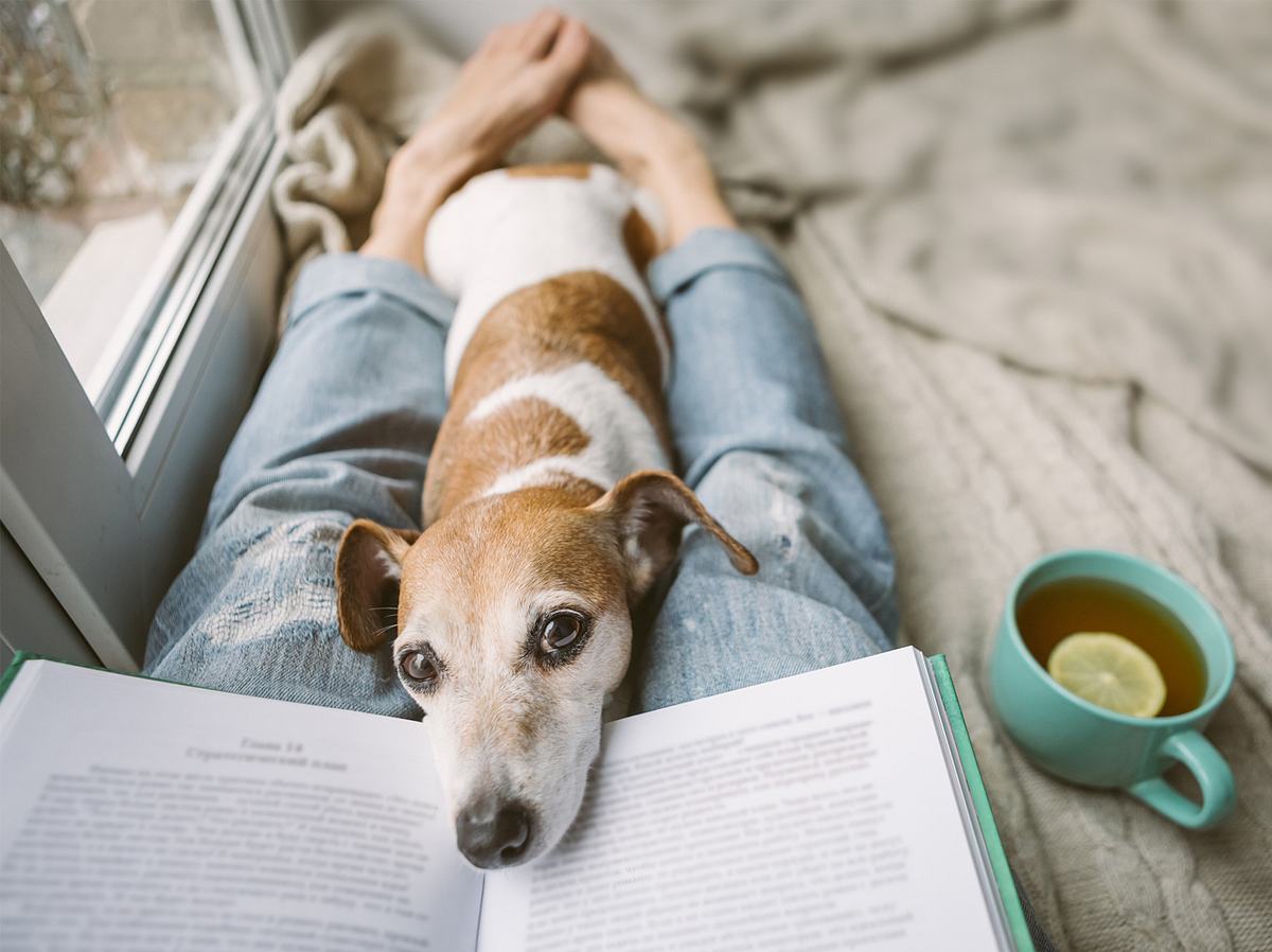 Bist du auf der Suche nach Buchtipps? Die Wunderweib-Redakteurinnen empfehlen das beste Lesefutter für den Herbst!