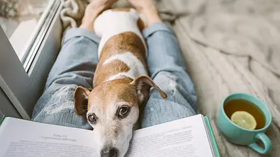 Bist du auf der Suche nach Buchtipps? Die Wunderweib-Redakteurinnen empfehlen das beste Lesefutter für den Herbst! - Foto: iStock