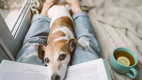 Bist du auf der Suche nach Buchtipps? Die Wunderweib-Redakteurinnen empfehlen das beste Lesefutter für den Herbst! - Foto: iStock