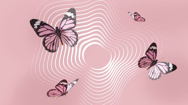 Butterfly Vibrator - Foto: Wunderweib