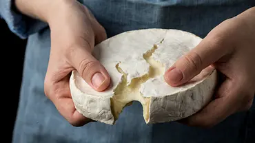 Camembert steht vor dem Aus - zumindest so, wie wir ihn kennen. - Foto: Ezhukov/iStock Camembert steht vor dem Aus - zumindest so, wie wir ihn kennen. - Foto: Ezhukov/iStock