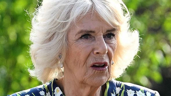 Camilla: Skandalöse Enthüllungen tragen nicht zur Beliebtheit bei. - Foto: Toby Melville - WPA Pool/Getty Images