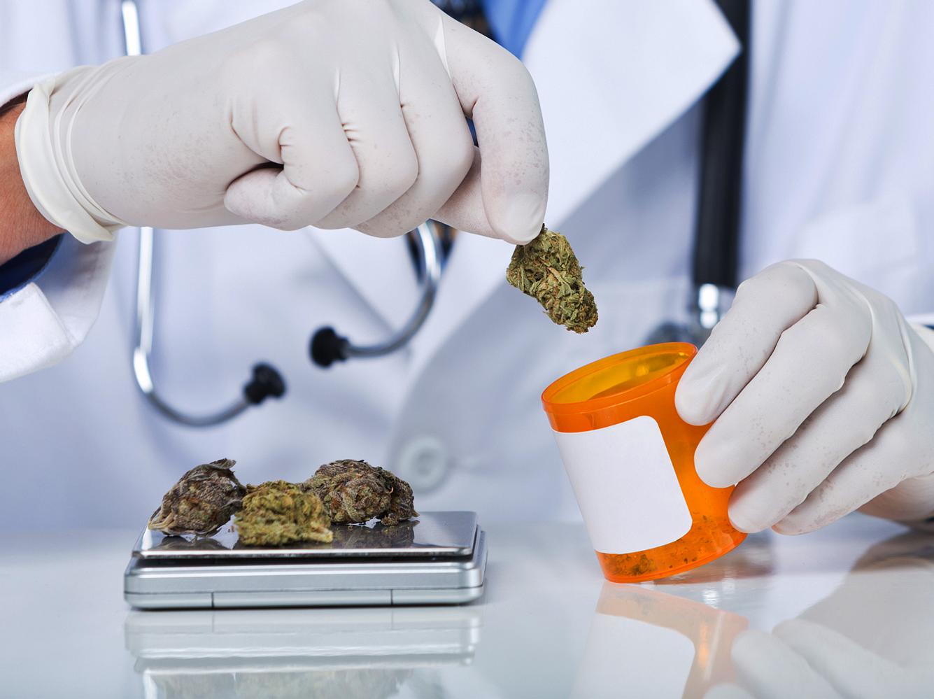 Cannabis Hanf: Medikament Cannabis Hanf: Medikament
