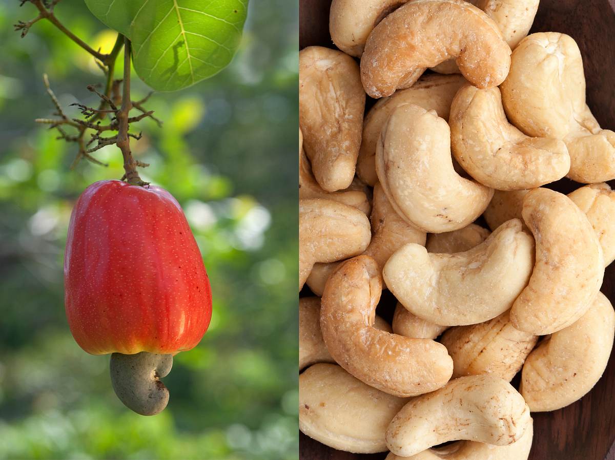 Cashewnüsse Nährstoffe