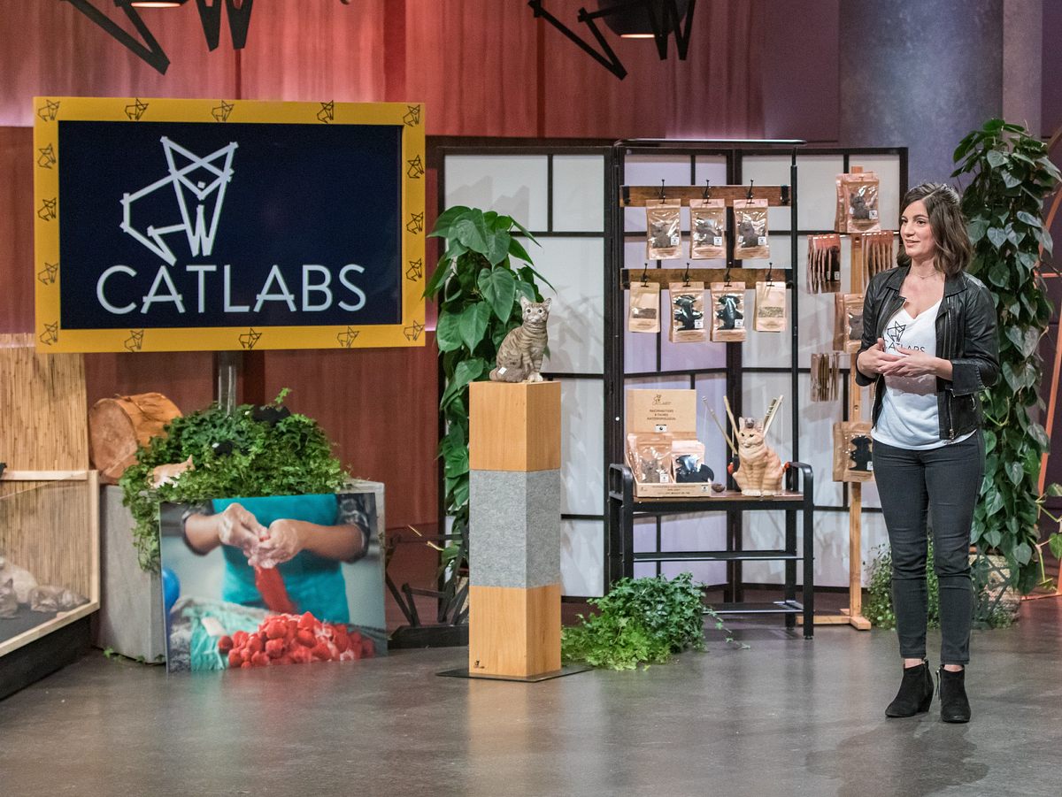 Höhle der Löwen: Hier könnt ihr die Produkte von CATLABS kaufen