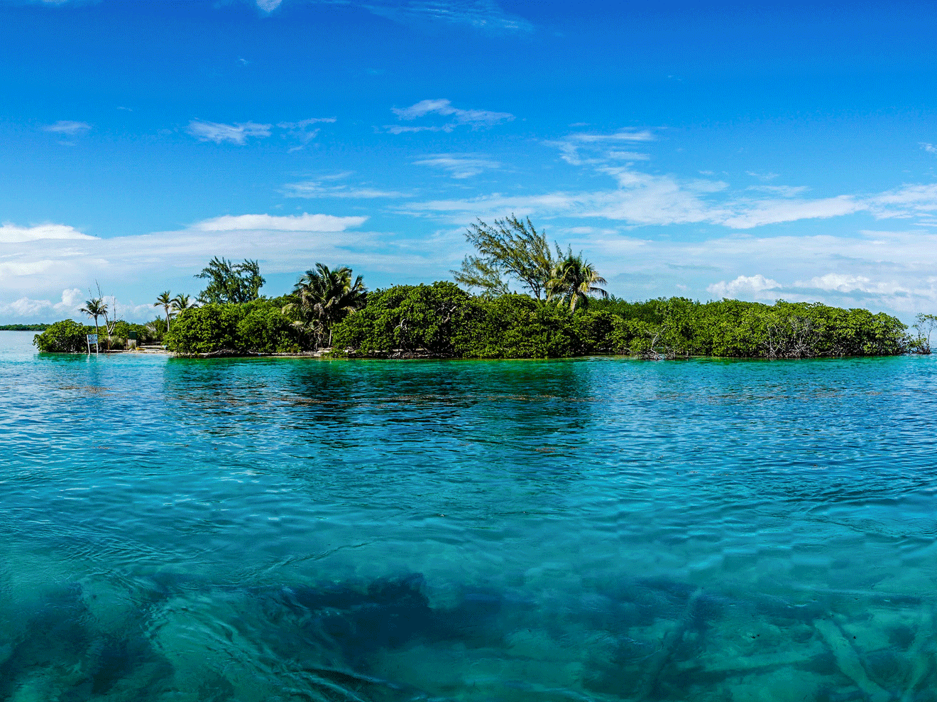 Caye Caulker in Belize besitzt eines der größten Korallenriffe. Auf Caye Caulker in Belize kann man mit Seekühen schwimmen.