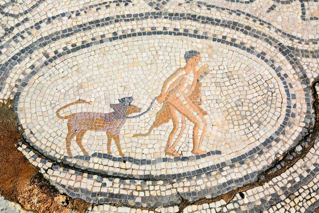Höllenhund Cerberus: Nach ihm wurde die neue Omikron-Variante BQ.1.1 benannt. Höllenhund Cerberus: Nach ihm wurde die neue Omikron-Variante BQ.1.1 benannt.