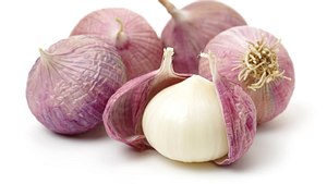 Chinesischer Knoblauch: Der Soloknoblauch hat nur eine Zehe und sieht eher aus wie eine Zwiebel - Foto: chengyuzheng/iStock