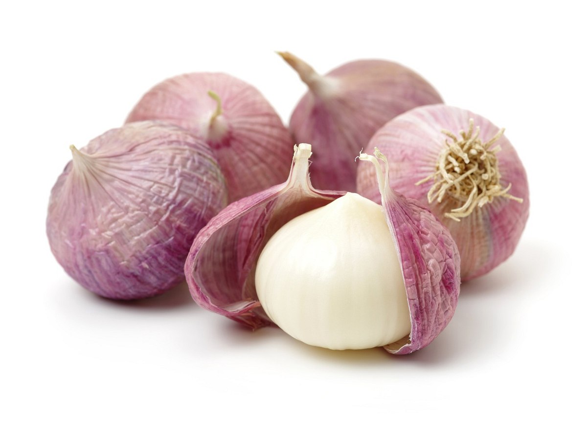 Chinesischer Knoblauch: Der Soloknoblauch hat nur eine Zehe und sieht eher aus wie eine Zwiebel Chinesischer Knoblauch: Der Soloknoblauch hat nur eine Zehe und sieht eher aus wie eine Zwiebel