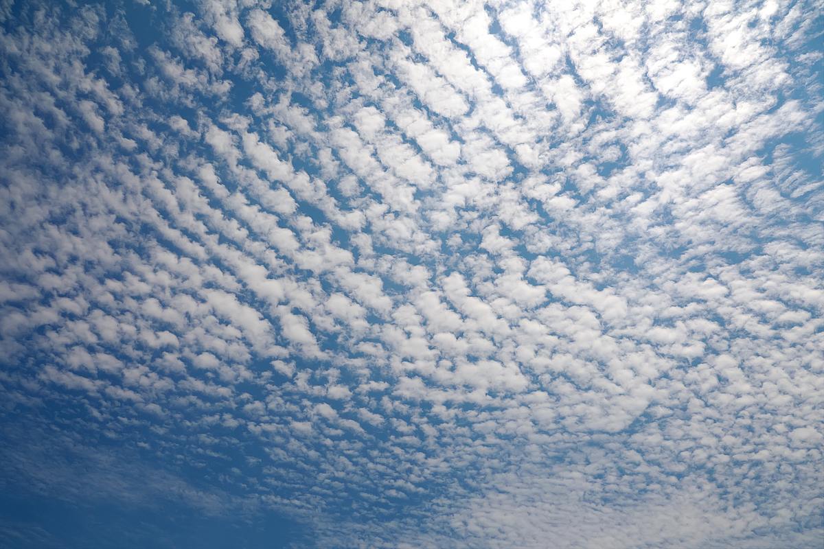 Cirrocumulus reinweiße Wolkenflecken