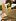 Clever hamstern clever hamstern