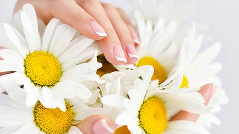 Daisy Nails: Ab jetzt gehören Gänseblümchen auf unsere Nägel! - Foto: Nataliia_Melnychuk/iStock