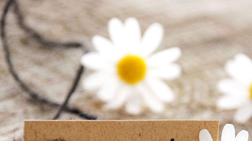 dankbarkeit lernen - Foto: Thinkstock
