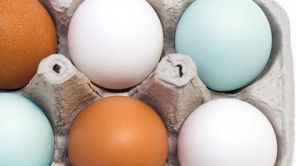 Darum haben Eier unterschiedliche Farben - Foto: iStock/JannHuizenga