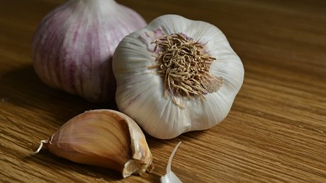 head of garlic: natural product used as seasoning - Foto: dririchetto/iStock