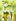 <p/><p><h2>DIY-Deko-Ideen mit Zitrone: Frisch gehäkelt</h2></p><p>Mit einem selbst gehäkelten Zitronen-Topflappen kommt Frische in die <b> <a href=/artikel/3051994/ansicht.html>Küche</a> </b>.</p><p><b>So gehts:</b></p><p>1. Mit gelbem Garn auf 3 Luftm deko ideen zitrone