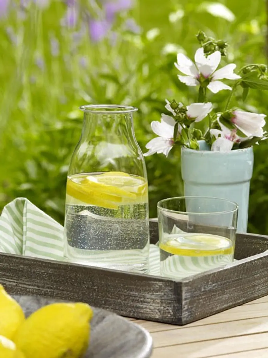 <p/><p><h2>DIY-Deko-Ideen mit Zitrone: Im Glas</h2></p><p>Wissen Sie, wie erquickend ein Glas Wasser mit frischer Zitrone verfeinert im Sommer schmecken kann? Probieren Sie es aus! Zudem sehen Limetten oder Zitronen in Glas oder Karaffe auch noch richtig deko ideen zitrone