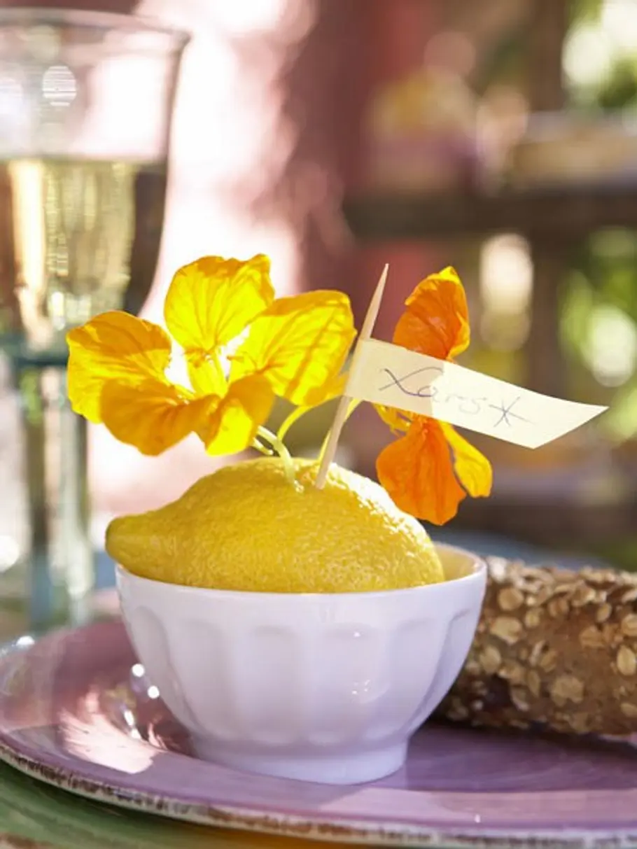 <p/><p><h2>DIY-Deko-Ideen mit Zitrone: Mediterraner Touch</h2></p><p>Eine Zitrone als herrlich duftender Platzanweiser: Bevor man den Zahnstocher mit beschriftetem Papierstreifen feststeckt, bohrt man damit Löcher für die Kapuzinerkresse vor. Fertig ist d deko ideen zitrone