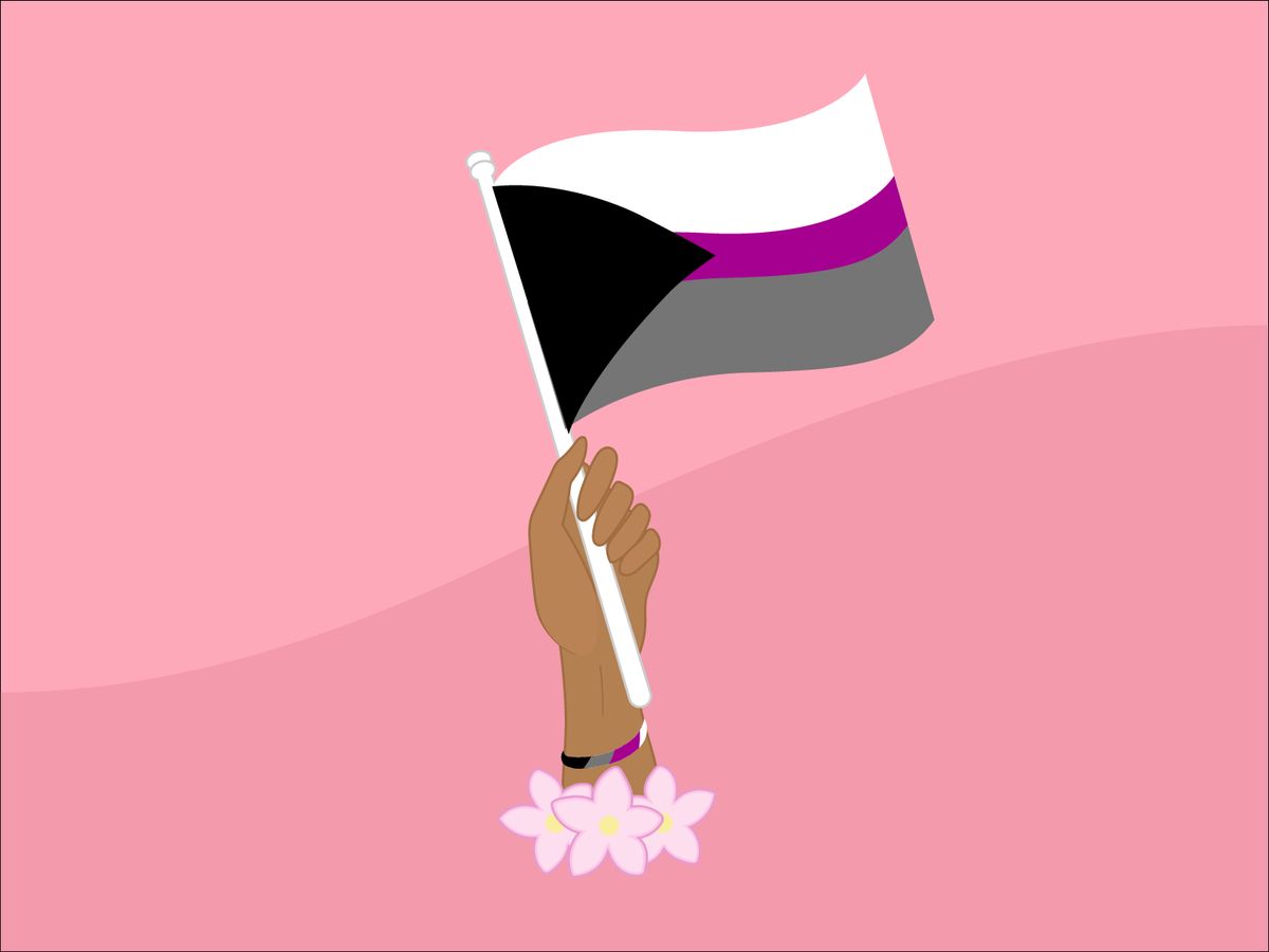 Demisexualität Flagge