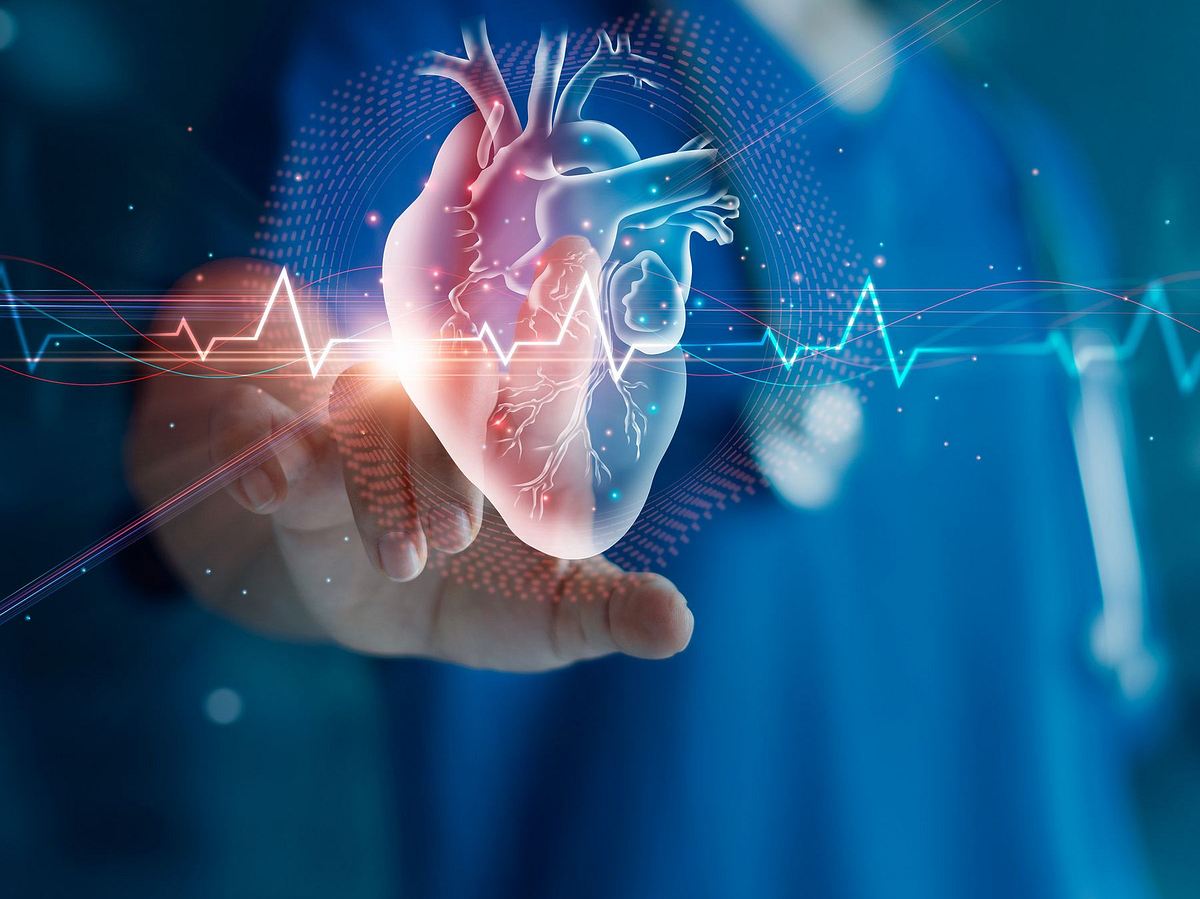 Der Kardiologe untersucht die Herzfunktionen des Patienten und die Blutgefäße an einer virtuellen Schnittstelle. Medizintechnik und Gesundheitstherapie zur Diagnose von Herzerkrankungen und Erkrankungen des Herz-Kreislauf-Systems. – Stockfoto