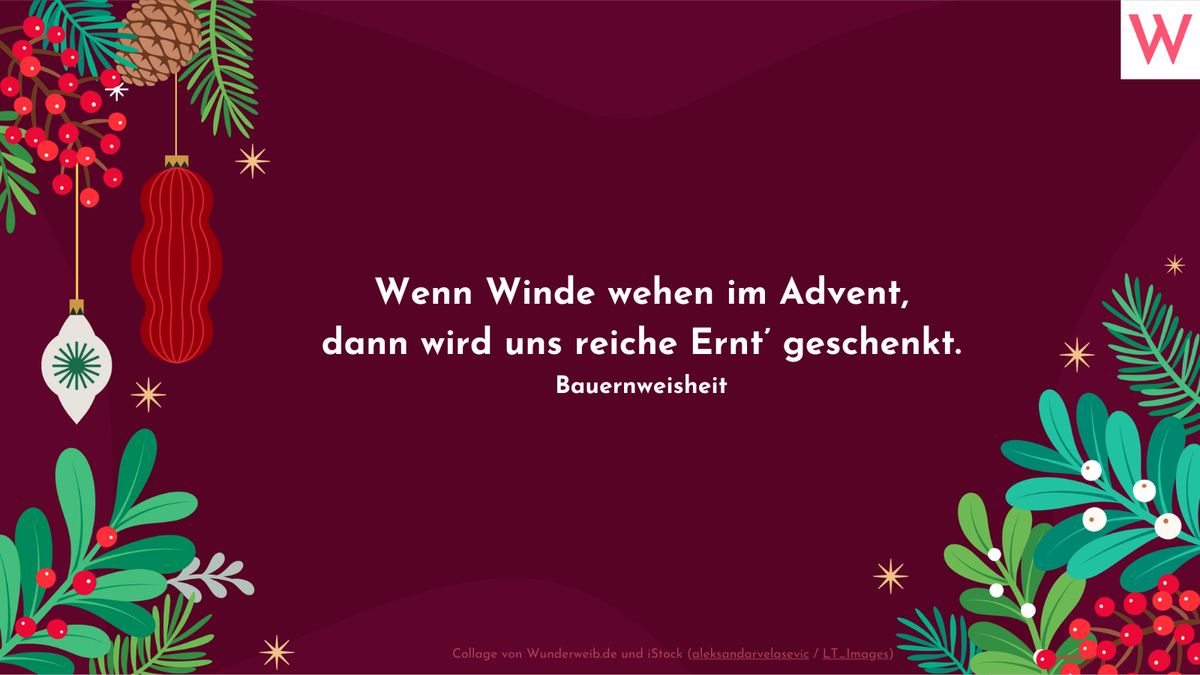 Wenn Winde wehen im Advent, dann wird uns reiche Ernt’ geschenkt. (Bauernweisheit)