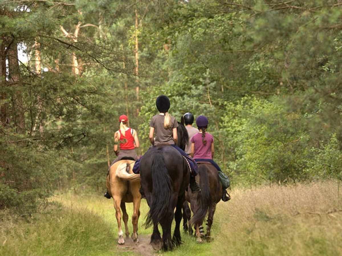 die schoensten reiseziele in deutschland altmark