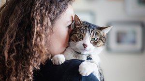 Diese Katze passt zu dir. - Foto: iStock