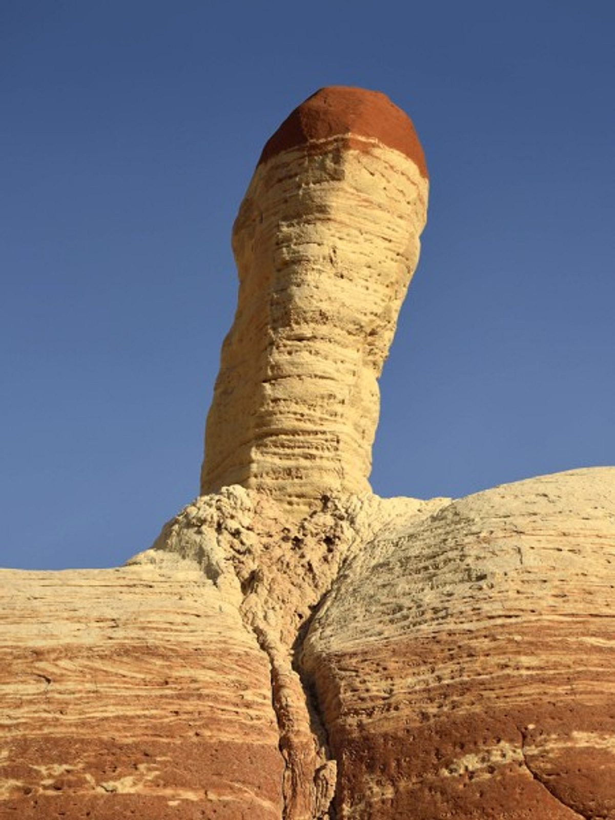 dinge die wie ein penis aussehen bild