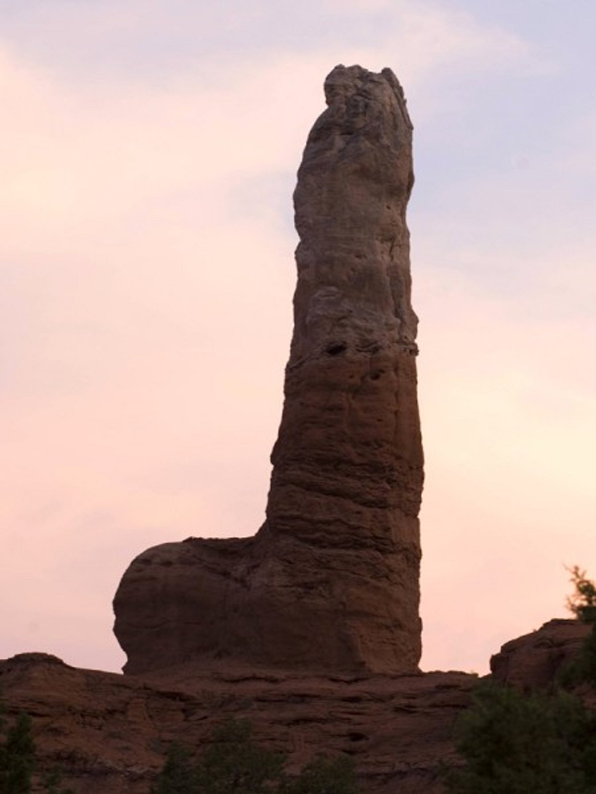 dinge die wie ein penis aussehen bild