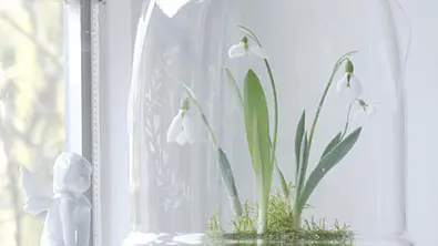 diy ideen schneegloeckchen - Foto: Bauer Media Group