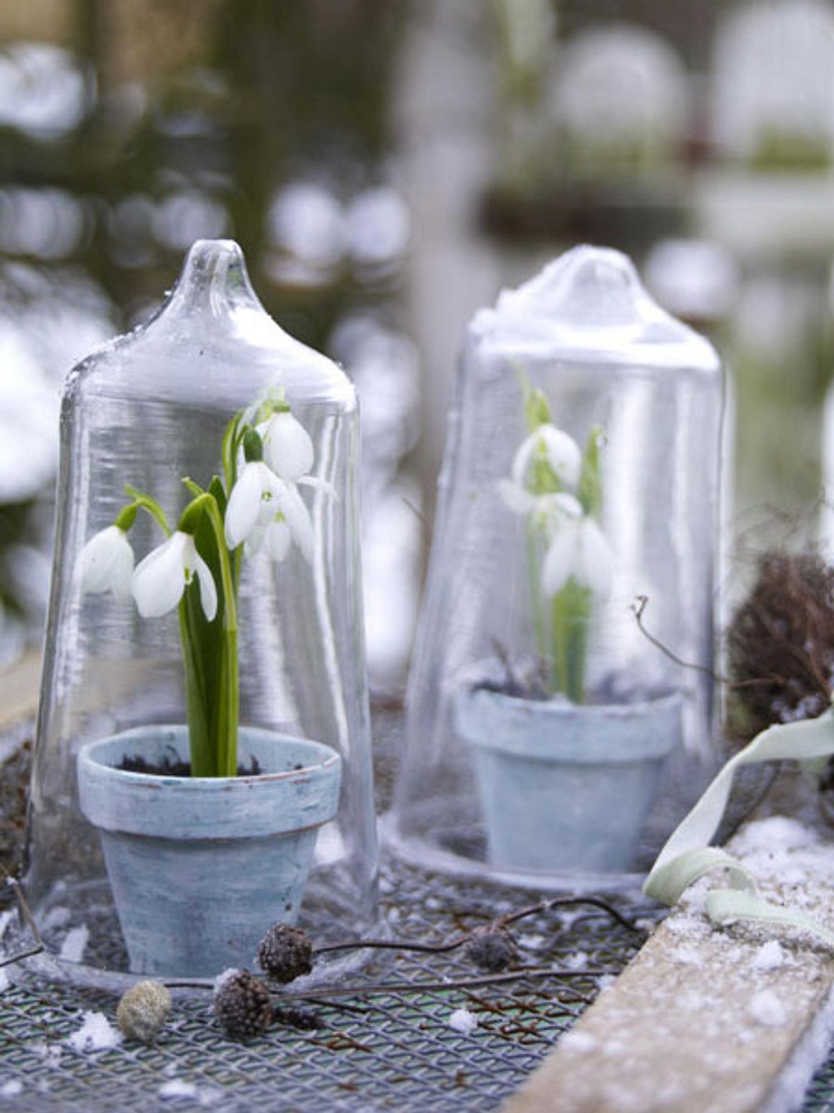 diy ideen schneegloeckchen