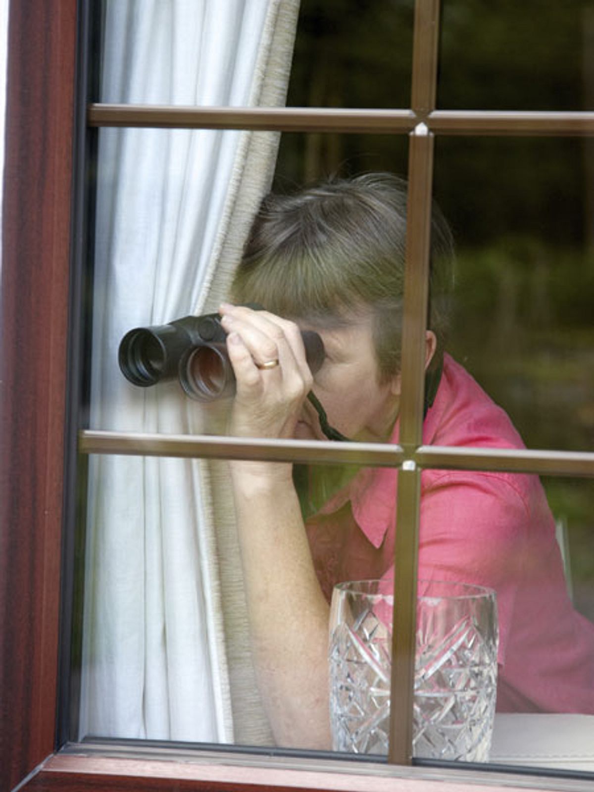 DIY-Sichtschutz: So können Nachbarn nicht mehr ins Fenster gucken