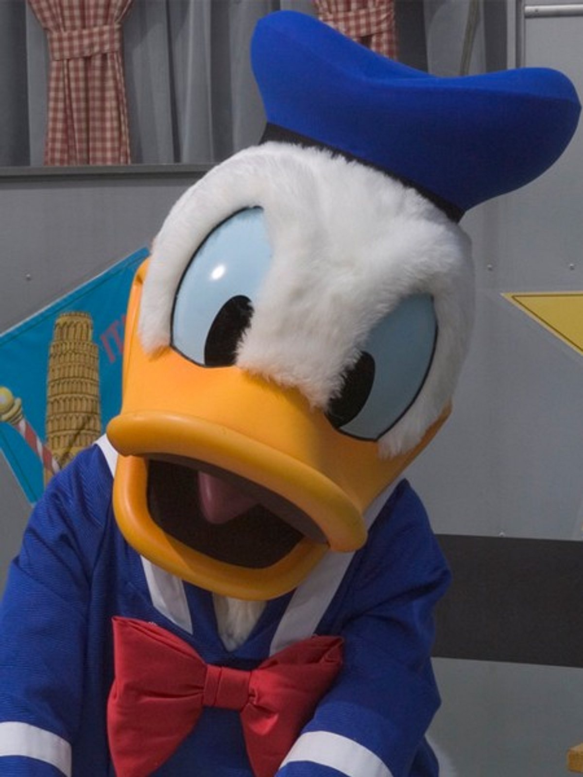 donald duck irrtuemer h