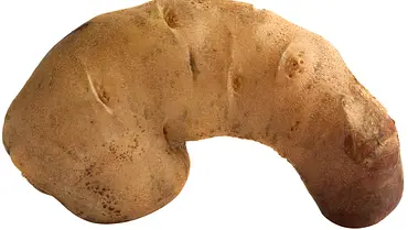 Die Haut am Penis eines Mannes ist häufig dunkler als am Rest des Körpers. (Themenbild) - Foto: Yomka/iStock Die Haut am Penis eines Mannes ist häufig dunkler als am Rest des Körpers. (Themenbild) - Foto: Yomka/iStock