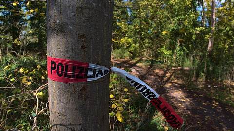 Ehepaar bewusstlos im deutschen Wald entdeckt - Fall bleibt mysteriös - Foto: iStock/Timon Schneider/Symbolbild