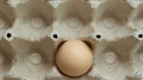 Keine Eier zum Backen da? Wie zeigen dir, was du als Ei-Ersatz verwenden kannst. - Foto: Mariia Drobiazko/iStock