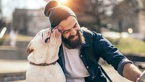 Bakterien: Männer-Bart ist unhygienischer als Hundefell - Foto: iStock