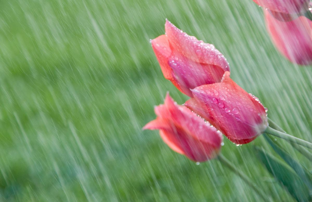 Wann kommt der Sommer zurück?