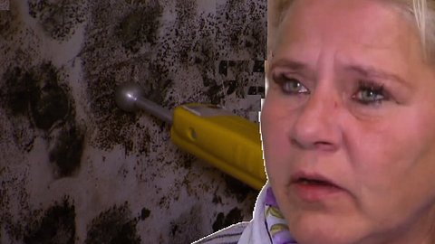 Ekelhafte Enthüllung bei den Wollnys - Silvia Wollny ist am Boden zerstört! - Foto: RTL 2