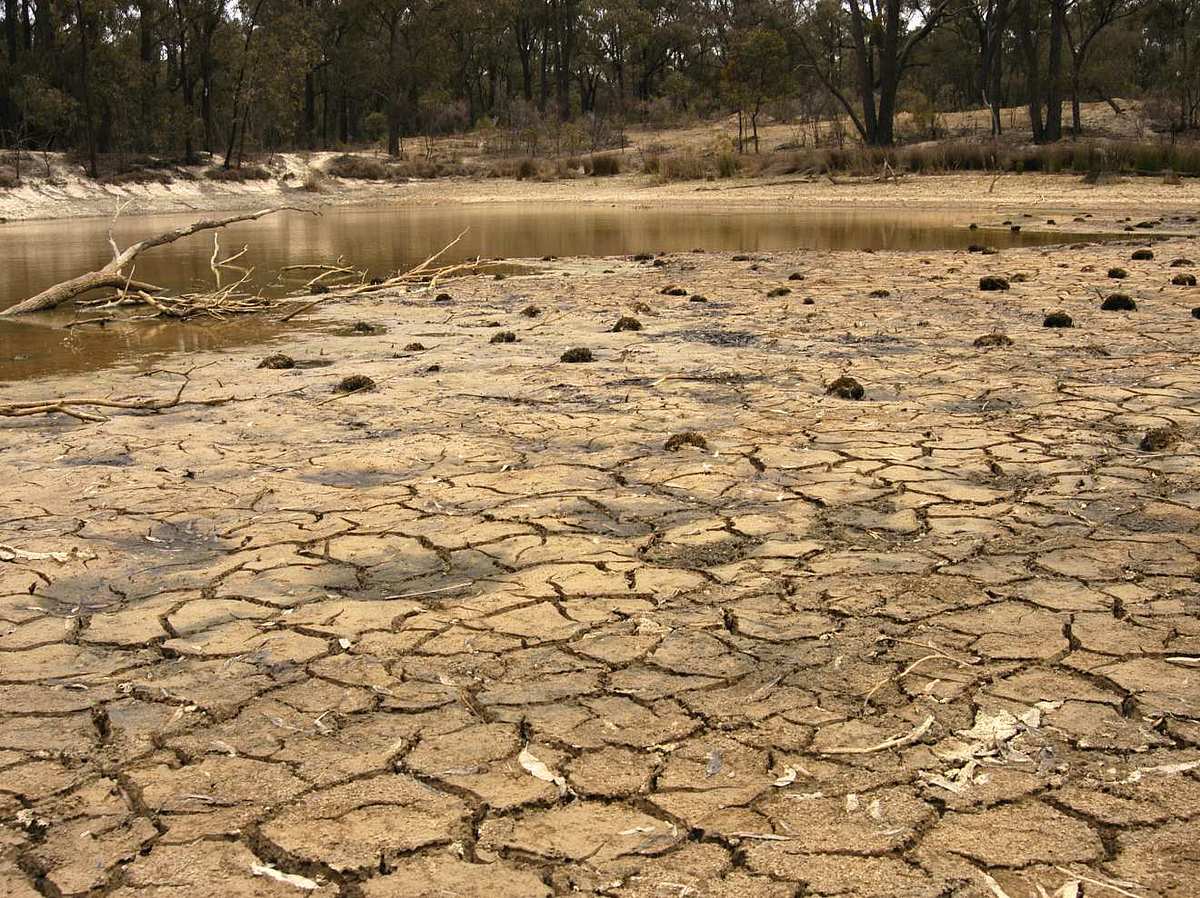 Klimaforscher waren: 2020 droht ein katastrophales El Niño Comeback