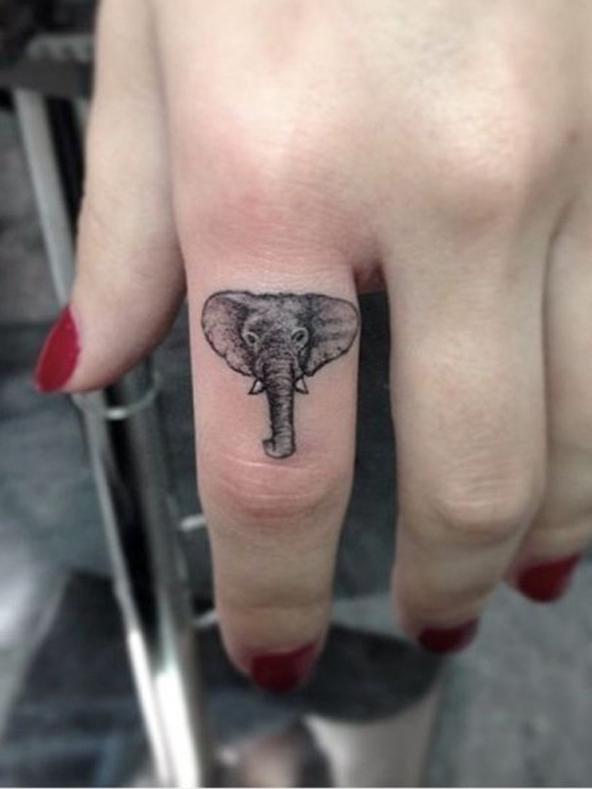 elefant auf dem finger