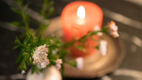 Elliot ist tot: Seine Geschichte berührte die Welt! - Foto: iStock / suteishi