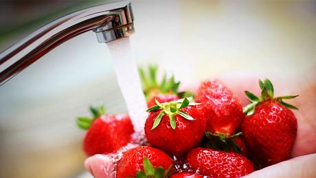 Erdbeeren waschen: Darum solltest du Erdbeeren nie unter fließendem Wasser putzen! - Foto: iStock