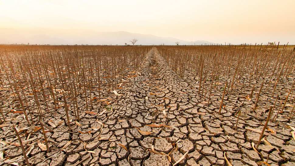 Auswirkungen der Dürre auf die Landwirtschaft. Ausgetrocknete Landschaft und degradierter Boden (Themenbild) - Foto: piyaset/iStock 