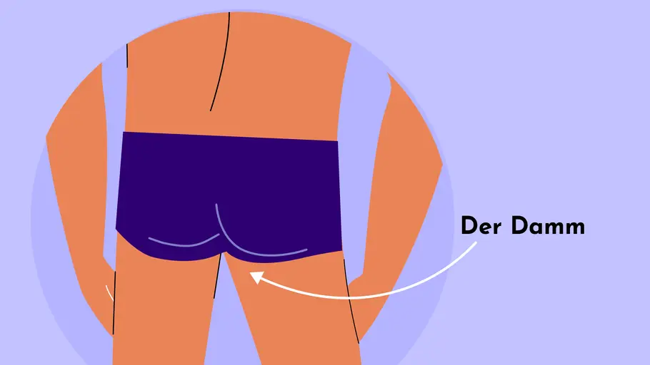 Erogene Zonen beim Mann - Der Damm Erogene Zonen beim Mann - Der Damm